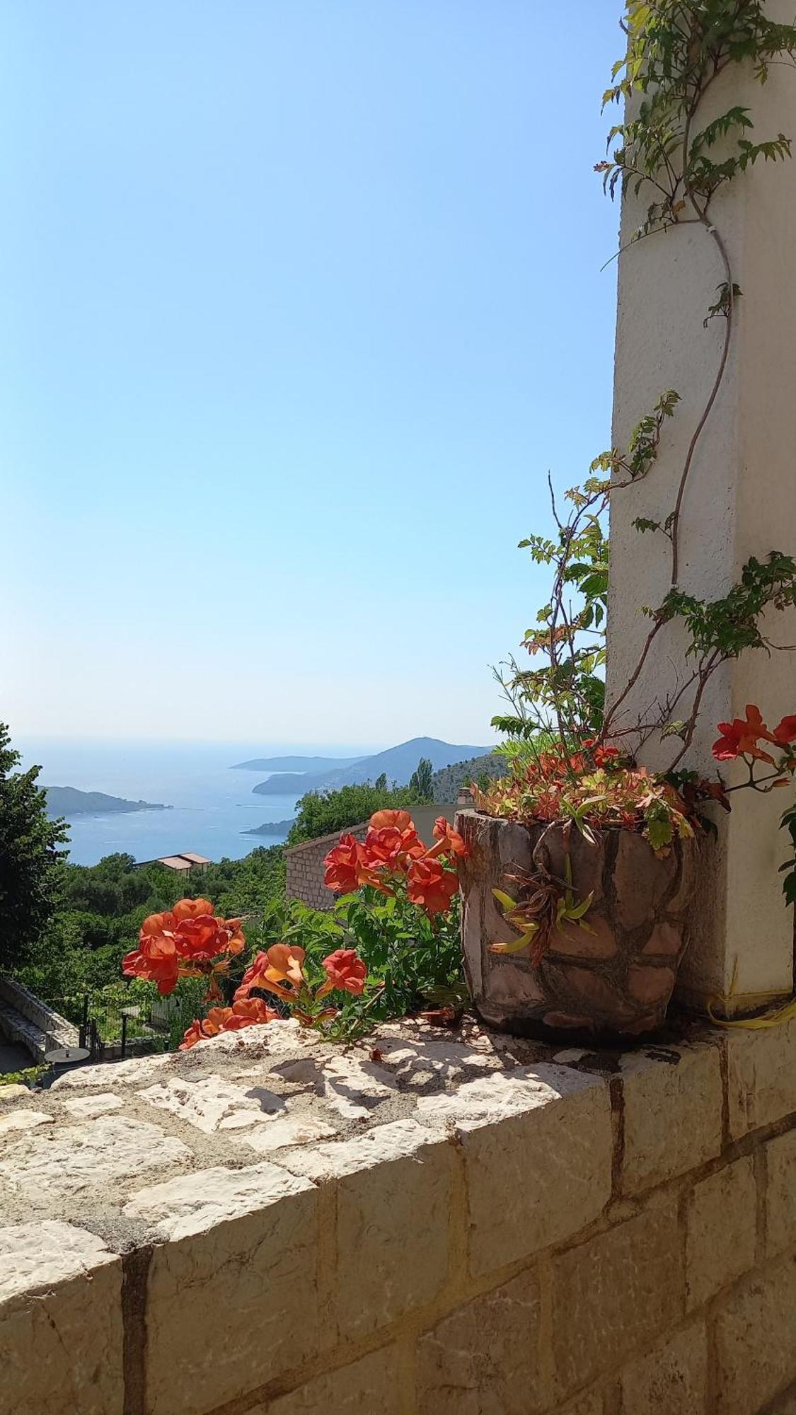 Villa Lidija Budva Buitenkant foto