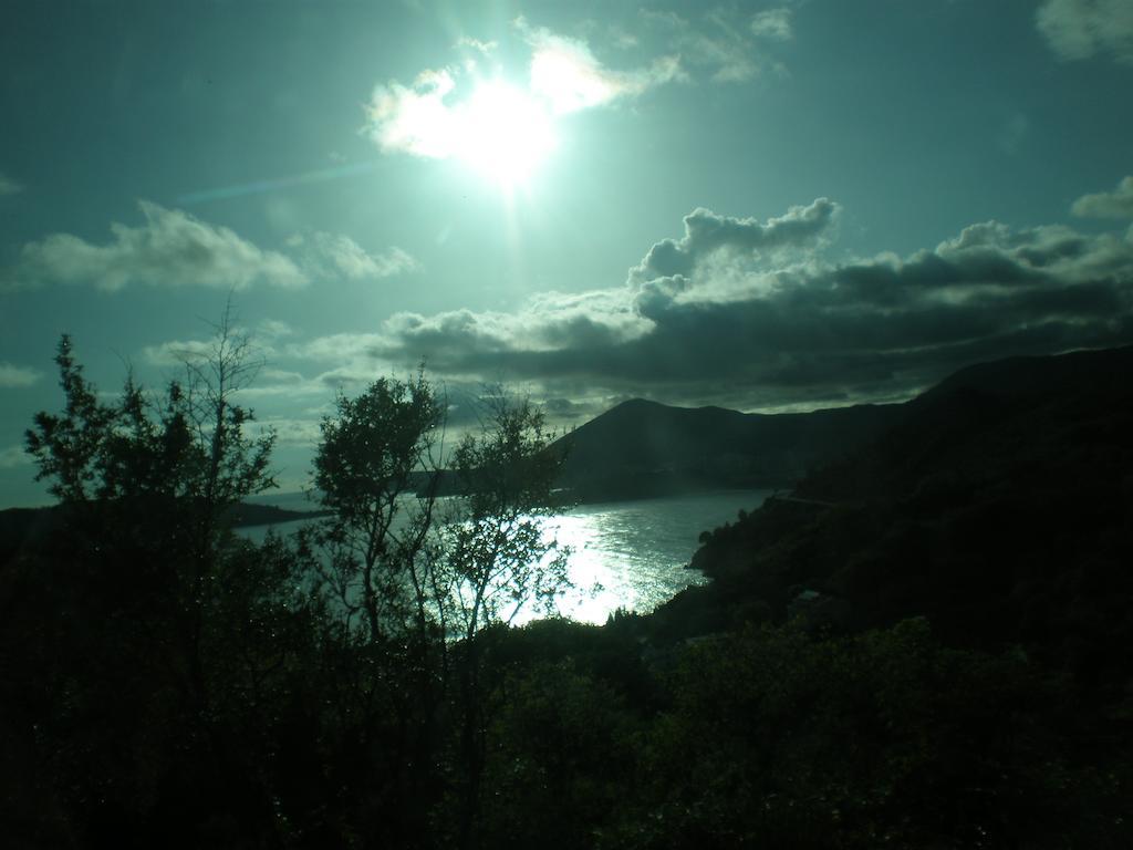 Villa Lidija Budva Kamer foto
