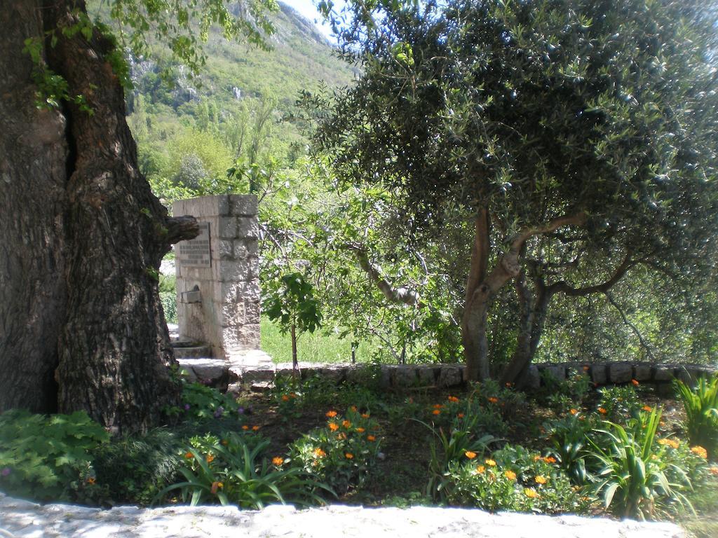 Villa Lidija Budva Kamer foto